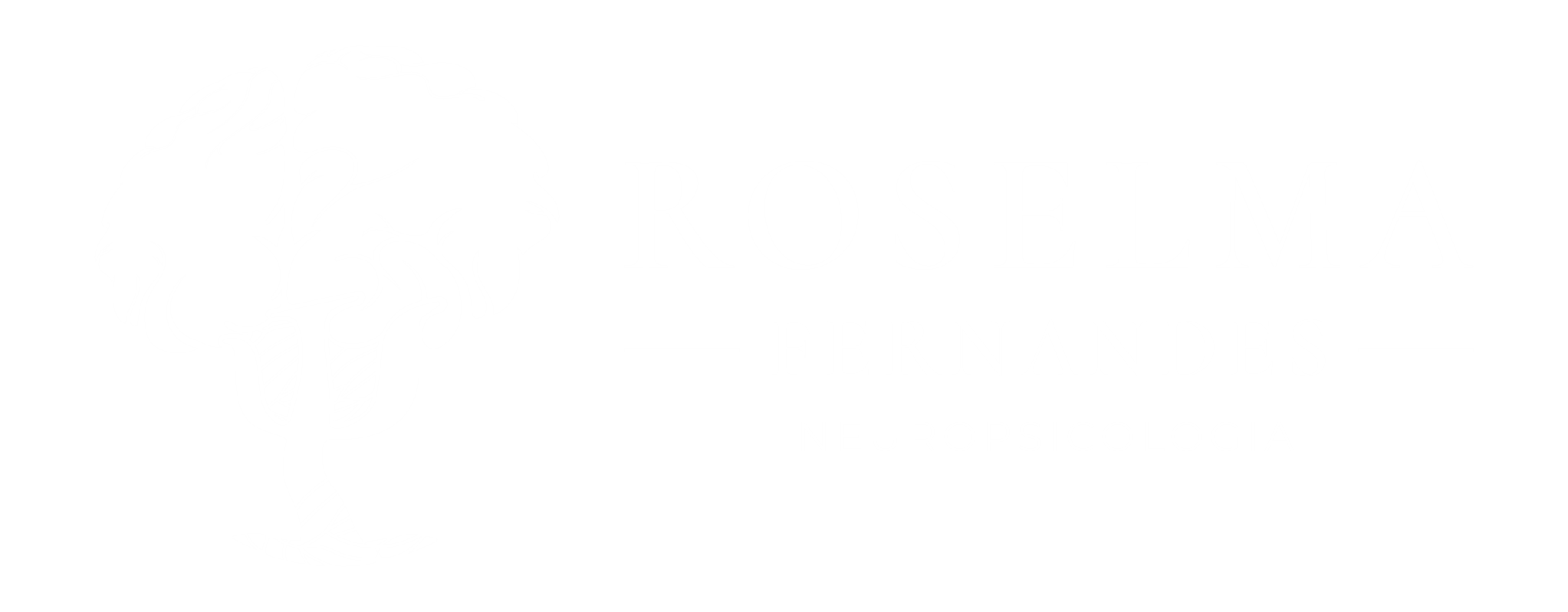 Dra. Roselma Fernandes
